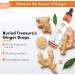 Buried Treasure Ginger Drops - Organic Ginger Root for Digestive Support | Sugar-Free Alcohol-Free 30 Servings for Upset Stomach & Ginger Tea - Buy Online on GoSupps.com