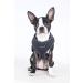 Puppia Dog Harness for Small & Medium Dogs | Super Soft Anti-Tension | Multiple Colors & Sizes Available - Perfect for Puppies - Buy Online on GoSupps.com