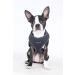 Shop Puppia Dog Harness for Small & Medium Dogs - Soft Colorful Anti-Tension Design & Dual-Use as Puppy Dish - Available in XL Gray - Buy Online on GoSupps.com