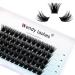 Individual Lashes D Curl Cluster Lashes 0.07mm 16mm DIY Lash Extensions Wide Stem Individual Eyelash Clusters Reusable Soft and Wispy Clusters Eyelash Extensions(FD-B-0.07-D-16) RR-16mm B-0.07-D