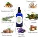 100% Natural Hair Growth Oil - Rich in Ricin Argan Macadamia & Coconut with Lavender Rosemary & Cedar - Natures Intervention 100ml | Repair & Promote Healthy Hair Growth - Buy Online on GoSupps.com