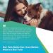 5Strands Pet Food Intolerance Test: At-Home Sensitivity Test for Dogs & Cats | 270 Items | Results in 7 Days - Protein, Grain, Fruit, Preservatives | Hair Analysis | Accurate for All Ages and Breeds - Buy Online on GoSupps.com