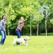 Buy ToddMomy Wooden V-Shape Boomerang for Kids | Fun Outdoor Flying Toy - International Shipping Available - Buy Online on GoSupps.com