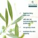 Saicara Hand Cream - Calming & Moisturizing Intensive Care for Very Dry & Disinfectant-Damaged Hands 75 ml | Best Hand Moisturizer - Buy Online on GoSupps.com