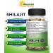 Shilajit 1000mg Capsules - Pure Extract Supplement with Humic & Fulvic Acid - 120 Count - Natural Trace Minerals - Resin & Drops Alternative - Buy Online on GoSupps.com