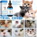 L-Lysine Supplement Drops for Cats - 60ML Liquid for Feline Health - L Lysine for Cats- Roast Chicken Flavor - Promotes Eye & Respiratory Function - Buy Online on GoSupps.com