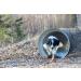 PlayfulSpirit Durable Natural Rubber Ball on a Rope - Perfect Dog Training Exercise and Reward Tool - Medium Size Dog Toy for Fetch Catch Throw and Tug War Plays Happy Playtime Guaranteed - Buy Online on GoSupps.com