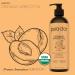 PURA D'OR Organic Apricot Kernel Oil 16 Oz - 100% Pure Cold Pressed Carrier Oil Rich in Antioxidants & Vitamin E for Face Skin & Hair - USDA Certified Natural Moisturizer - Buy Online on GoSupps.com