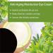 Anti-Aging Green Tea Matcha Eye Cream with Hyaluronic Acid, Collagen, and Vitamins - Diminish Dark Circles, Puffiness, and Fine Lines - Buy Online on GoSupps.com