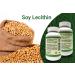 Soy Lecithin 1200mg Softgels - Total Natural Brain & Heart Health Support | Cholesterol, Liver & Kidney Supplement - 200 Count - Buy Online on GoSupps.com