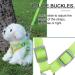 Rennaio No Pull Dog Harness & Leash Set - Adjustable Puppy Harness with 2 Linen Clips for Small & Medium Dogs - Ultra Comfortable - Green XL - Buy Online on GoSupps.com