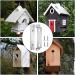 Secure Bird Nesting Box Holder Bird Nest Box Mounting Bracket No Deformation Bird Feeder Outdoor Bird Feeder Tree Accessories for Scenic Place Geteawily R:1 Set - Buy Online on GoSupps.com