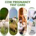 Sheep/Goat Pregnancy Rapid Detection Test 2 Pack | Fast & Accurate Results for Farmers - Buy Online on GoSupps.com