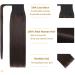 16 inch SEGO Wrap Around Ponytail Extension Human Hair 100% Real Remy #2 Dark Brown One Piece Clip in Hairpieces for Women Straight (80g) 16 Inch (80 g) #2 Dark Brown - Buy Online on GoSupps.com