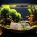 Ctpeng Aquarium Decoration Stone - Natural Look Decorative Rock & Hiding Place (25cm 13cm 7cm Resin) - Ideal Aquarium Accessories - Buy Online on GoSupps.com
