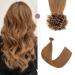 SEGOHAIR U Tip Hair Extensions Pre Bonded Hair Extensions Remy Human Hair Extensions 50 Strands 1g/Strands U-Tip Keratine Nail Fusion Hair Extensions 18 inch Chestnut Brown 18inch 06Y-Chestnut Brown