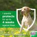 Flea Screen Combo Small Dog (3 Pipettes) - 12 Weeks Treatment for Dogs (2-10kg) & Puppies - Kills Fleas, Eggs & Ticks - Buy Online on GoSupps.com