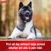 Sulfodene Dog Wound Care Ointment - Pain Relief & Infection Prevention for Cuts, Scrapes, Bites - 2 oz - Buy Online on GoSupps.com