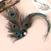 LALAFINA Barrette Jeweled Headbands for Women Peacock Fascinator Bride Headpieces for Wedding Facinator Peacock Fascinators for Women Bridal Headpiece Bridal Headdress Hair Miss - Buy Online on GoSupps.com