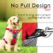 Thinkpet Anti-Zug Dog Harness | Adjustable Reflective Breathable Dog Harness with Handle for Easy Control | Large Red (1 Pack) - International Shipping Available - Buy Online on GoSupps.com