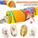 Malier Cat Toys Set - Interactive Collapsible Cat Tunnels, Feather Toy, Crinkle Balls - for Indoor Cats, Kittens, and Small Pets - A-Rainbow - Buy Online on GoSupps.com