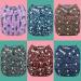 Anmababy 6 Reusable Pocket Cloth Diapers with Bamboo Inserts + Dry/Wet Bag - 6 Pack (Girl-2) - Buy Online on GoSupps.com