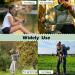 Midge Head Net 4 PCS Mosquito Head Net Black and Green Midge Head Net Protecting Cover Fine Mesh Insect Netting Mosquito Head for Travelling Outdoor Hiking Camping and Climbing - Buy Online on GoSupps.com