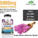 Sambucus Elderberry 5000mg Super Concentrated with Vitamin C & Zinc - Immune Support Supplement | 90 Veggie Capsules - Buy Online on GoSupps.com