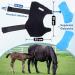 IceHOF Cooling Gaiters for Horses - Firm Hold Washable with Removable Cooling Packs - Protective Cooling Straps (1 Piece) - Buy Online on GoSupps.com
