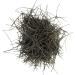 Dried Chinese Pine Needle Herb Tea 100g - Buy Online on GoSupps.com