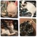 Allisandro Extra Soft Microplush Fleece Pet Blanket - Grey - 39 x 31 - Ideal for Dogs, Cats - Extra Softness for Small, Medium, Large Pets - Buy Online on GoSupps.com