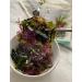 JRND Foods Assorted Seaweed Salad Kit - 6 Types of Seaweed, Korean Side Dishes Made Easy | Ready-to-Eat, 7 Bags - Buy Online on GoSupps.com