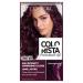 L'Or al Paris Colorista Permanent Gel Hair Dye Long-Lasting and Vibrant At-Home Hair Colour High-Intensity Hues with Up to 3x More Shine Colour: Dark Purple