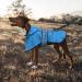 Weesiber Waterproof Dog Raincoat - Adjustable Reflective Jacket | Medium Blue - Buy Online on GoSupps.com