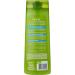 Garnier Fructis Shampoo Strength and Gloss Shampoo 2-in-1 360 ml - Buy Online on GoSupps.com