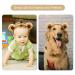 Brown Bear Ear Headband for Adult Kids - Soft Makeup Hairband for Party Cosplay - Cute Care and Washing Face Band - Buy Online on GoSupps.com