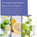 Shop Absolute Aromas Body Balancing Massage Oils | Premium Quality International Shipping - Buy Online on GoSupps.com