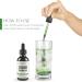 Nutroliq Liquid Chlorophyll Drops 60ml - Herbal Extract for Healthy Weight Management and Immune Support - Peppermint Flavor - Buy Online on GoSupps.com