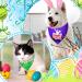 Easter Dog Bandana Set - 20 Pcs Washable Triangle Bibs for Dogs & Cats - Rabbit, Egg, Carrot Design - Adjustable & Washable Pet Scarfs - Easter Pet Accessories - Buy Online on GoSupps.com