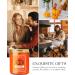 AOOVOO Spiced Pumpkin Candle - Premium Fall Soy Candles Scented Aromatherapy Candle for Women - 9 OZ - Buy Online on GoSupps.com