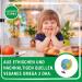 Omega 3 Vegan Oil for Kids | Algae-Based Fish Taste-Free Sustainable Omega 3 for Infants & Toddlers - 50ml | Apocratic Kids - Buy Online on GoSupps.com