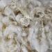 Corriedale Textured Felting Wool for Needle Felting & Spinning - Ivory - Buy Online on GoSupps.com