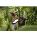 Kiddu 40g Vanilla Powder - 100% Pure Ground Vanilla Pods from Full and Flavorful 'Unspent' Beans - Buy Online on GoSupps.com