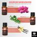 Coolcow Essential Oils Set for Diffusers - 100% Natural Aromatherapy Oils (6x10ml) - Geranium Rosemary Rose Cedar Cinnamon Vanilla - Perfect for Massage & Relaxation - Buy Online on GoSupps.com