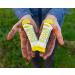 Buzz Power Natural Energy Gel | Organic Honey Carbohydrate Sports Gel with Electrolytes | Exercise & Endurance Booster (10 Pack) - Buy Online on GoSupps.com