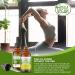 Potent & Organic Vegan Omega 3 Liquid Supplement: Better Than Fish Oil! Plant Based Water Extracted Algae Oil- DHA EPA DPA Fatty Acids- Non GMO- Supports Immune Heart Brain & Joint Health-60 Doses - Buy Online on GoSupps.com