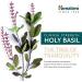 Himalaya Holy Basil - 60 Vegetarian Capsules for Stress Relief & Wellness - Buy Online on GoSupps.com