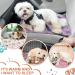Buy NAMALU 4 Waterproof Guinea Pig Fleeced Ceiling - Absorbent Small Dog Blanket & Reusable Pipi Pads (Paw Pattern 60x40 cm) for Cozy Cages - Buy Online on GoSupps.com