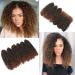 12 Inch Short Passion Twist Hair Marlybob Crochet Hair - 6 Bundles 12 Kinky Curly Crochet Hair for Black Women - Buy Online on GoSupps.com