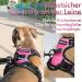 Rabbitgoo Anti-Pull Dog Harness for Medium-Sized Dogs | Adjustable Breathable No-Pull Design | Safe Control for Large Dogs - Pink - Buy Online on GoSupps.com